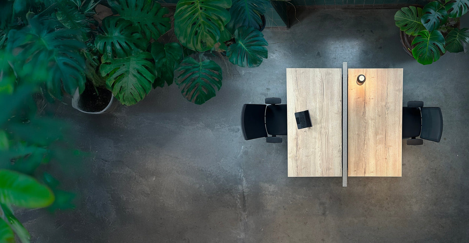 Wat is biophilic design en hoe pas je het toe in kantoorinrichting?