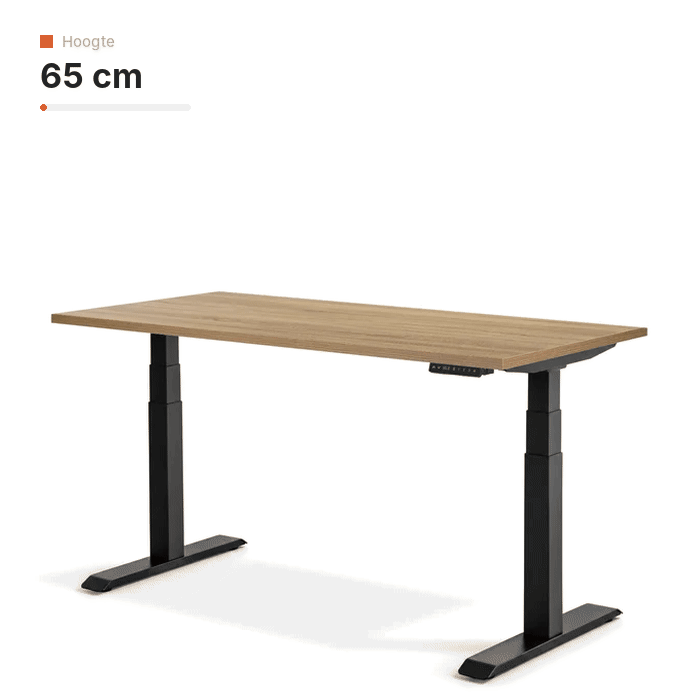 Ergowork Zit-sta bureau