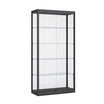 Design vitrinekast in de kleur zwart.
